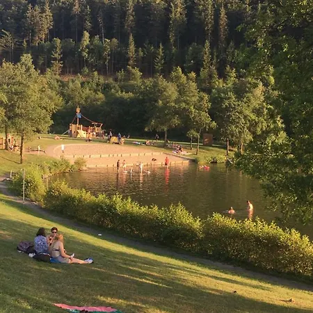 App Mit Seeblick Am Hillebachsee In Ot * Winterberg